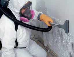 Why You Should Choose Our Mold Remediation Services in Wellston, OH